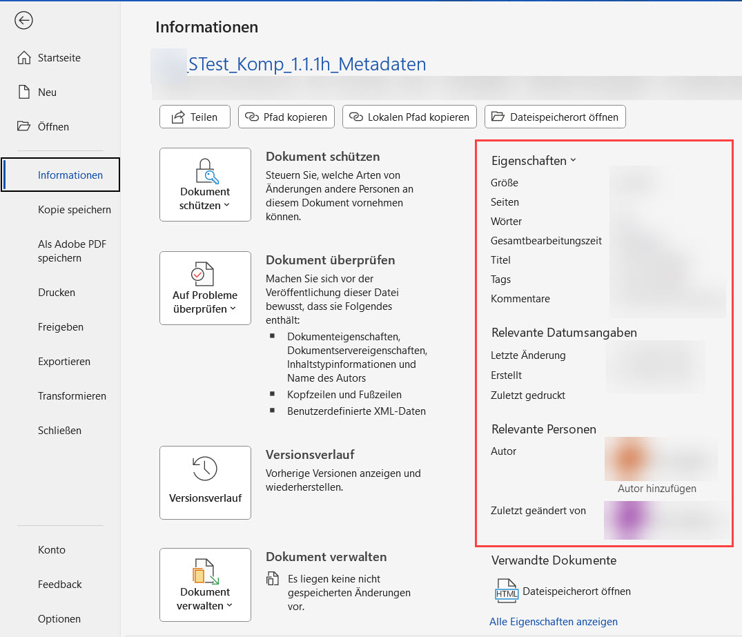 Screenshot von Microsoft Word, Menü "Informationen". Mit den folgend erwähnten Feldern.