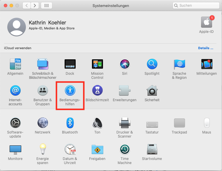Screenshot der Systemsteuerung von macOS. Die Schaltfläche "Bedienungshilfen" ist hervorgehoben.