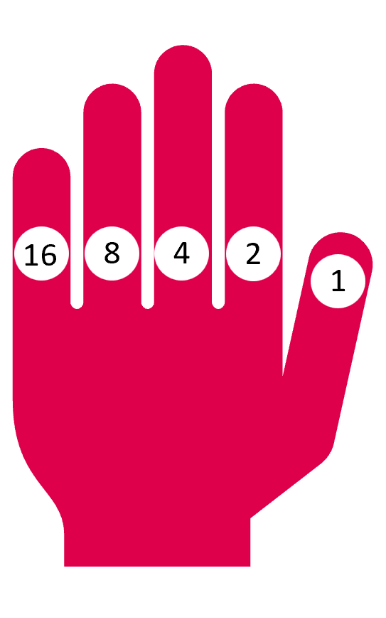 Eine Hand mit Ziffern drauf. Auf dem Daumen rechts steht eine 1, auf dem Zeigefinger eine 2, auf dem Mittelfinger eine 4, auf dem Ringfinger eine 8 und auf dem kleinen Finger eine 16.